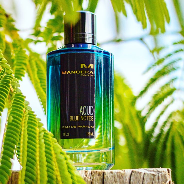 Mancera - Aoud Blue Notes - Niche.bg