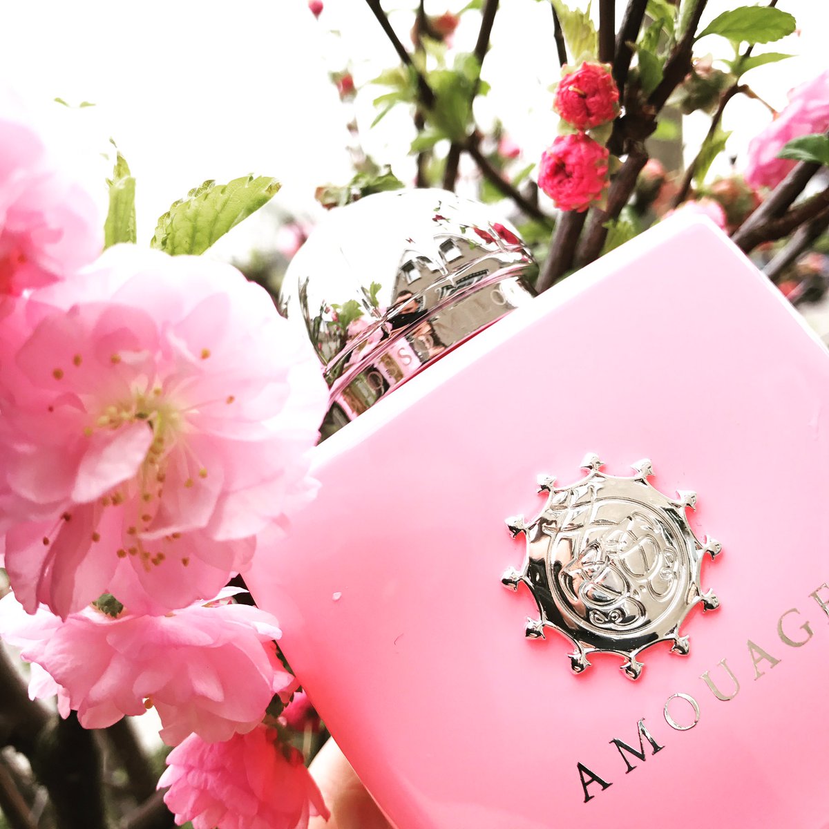 Amouage - Blossom Love