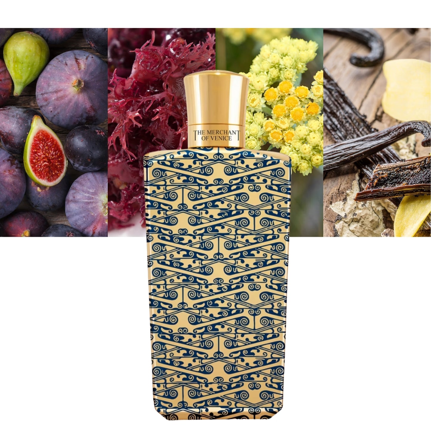 The Merchant of Venice - Gold Regatta