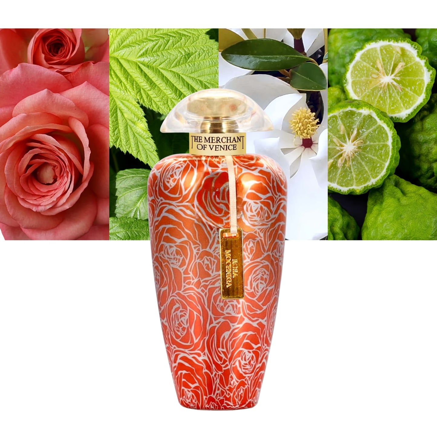 The Merchant of Venice - Rosa Moceniga