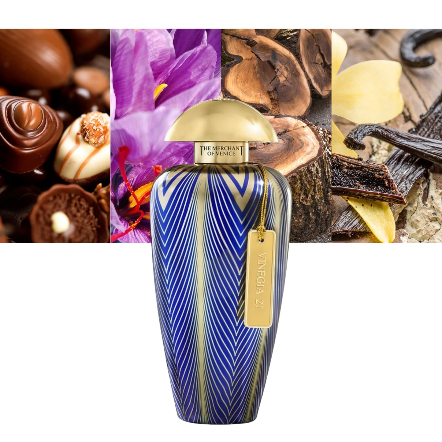 The Merchant of Venice - Vinegia 21