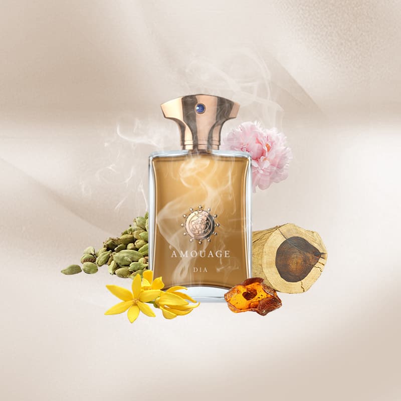 Amouage - Dia ( for Man ) - Niche.bg